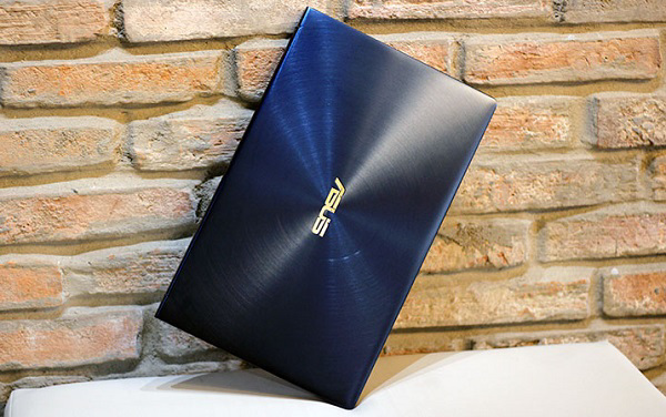 Lớp vỏ với những vòng tròn đồng tâm đặc trưng