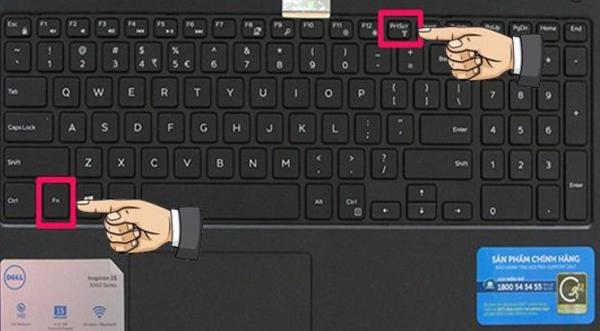 Dòng Laptop Dell thì sử dụng tổ hợp phím Fn + PrtScr