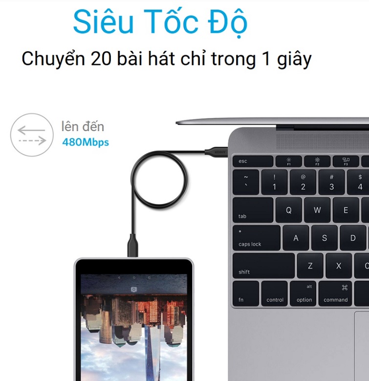 cap-anker-powerline-usb-c-ra-usb-c-2-0-dai-0-9m-a8181