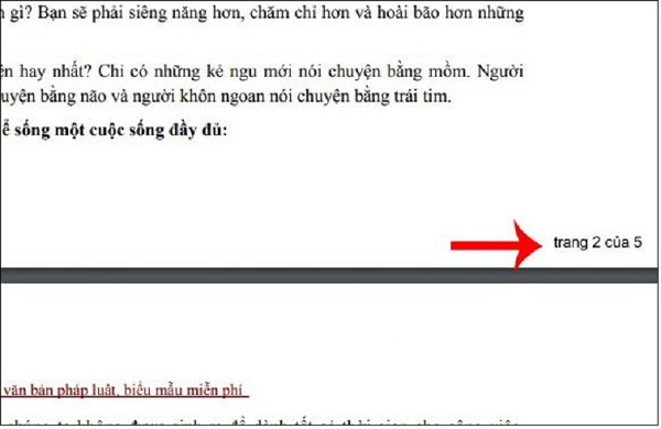 Kết quả tập tin PDF đã được đánh số trang