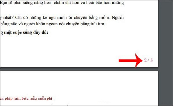Số trang được chèn vào tập tin PDF