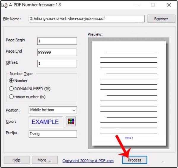 Sau khi thiết lập xong các bạn chọn vào Process để có thể đánh số trang pdf