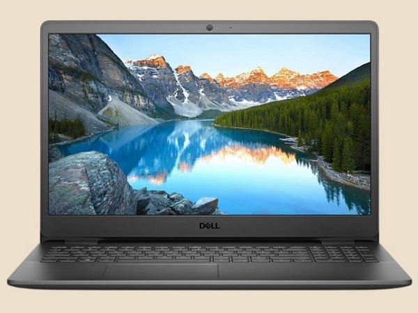 dell-inspiron-3502