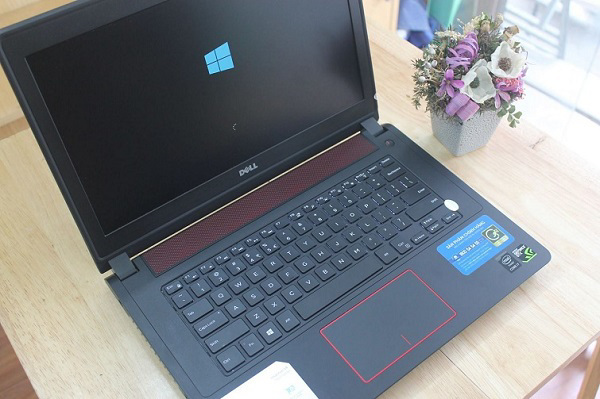 Vẻ ngoài khỏe và rất mạnh mẽ