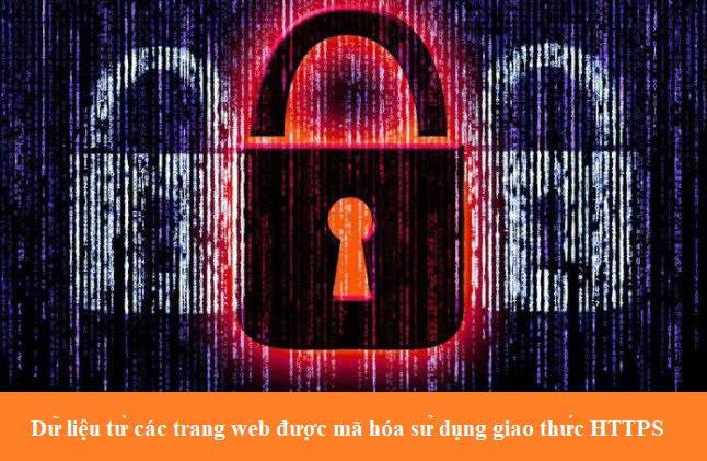 Dữ liệu từ những trang web được mã hóa