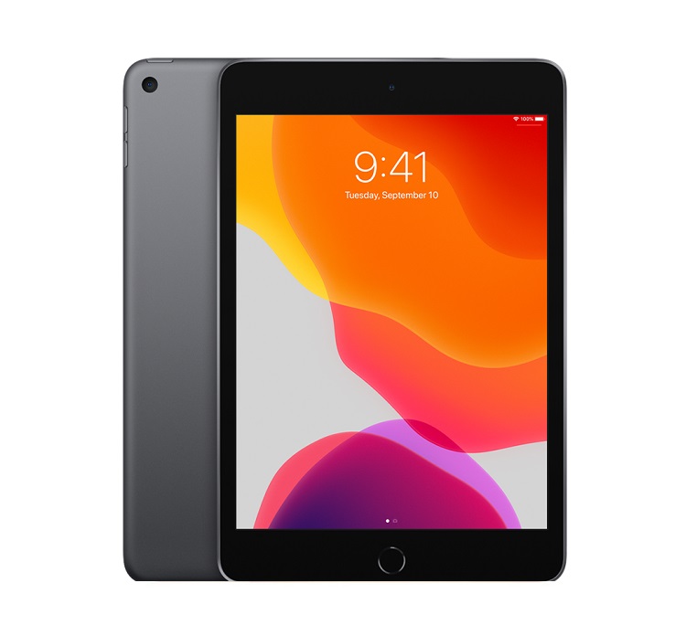 iPad Mini 5 64GB Wifi