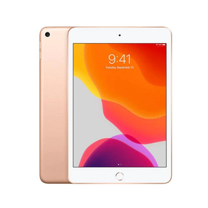 iPad Mini 5 64GB Wifi