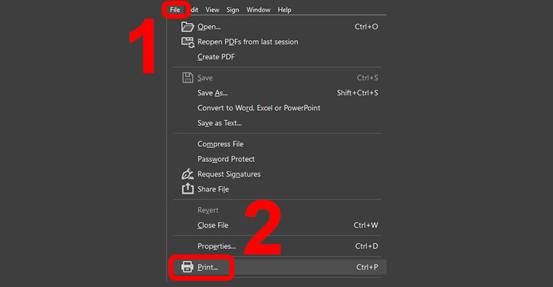 khong-in-duoc-file-pdf