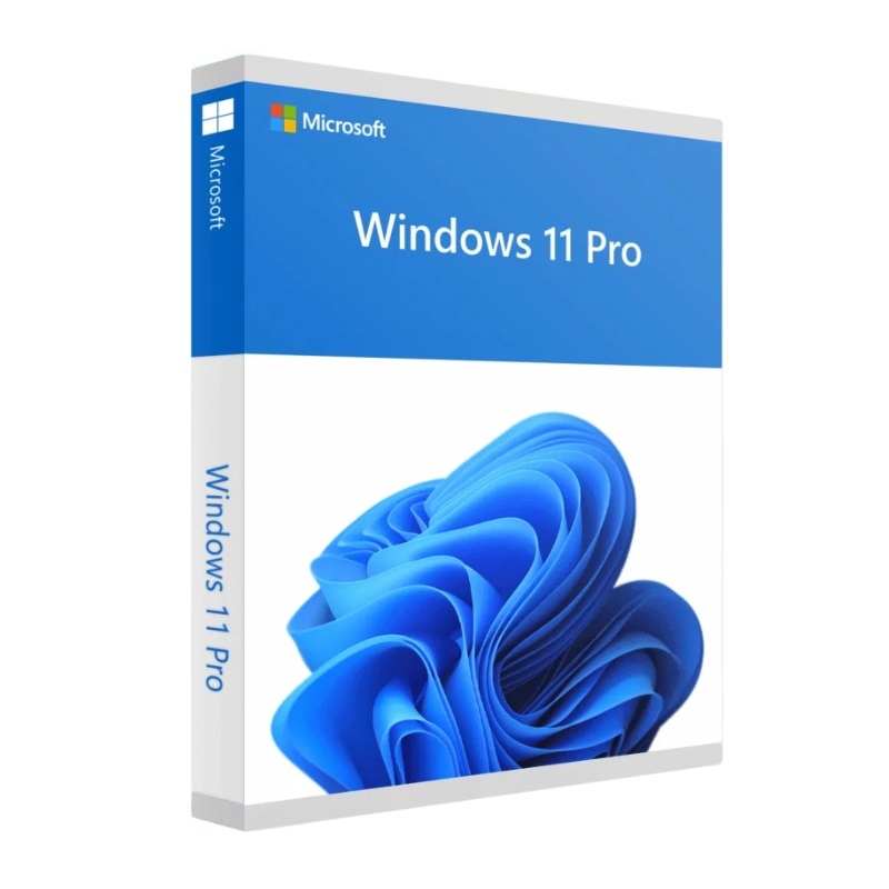 Phần mềm Win 11 Pro 64Bit Engl Intl 1pk DSP OEI DVD (FQC-10528)