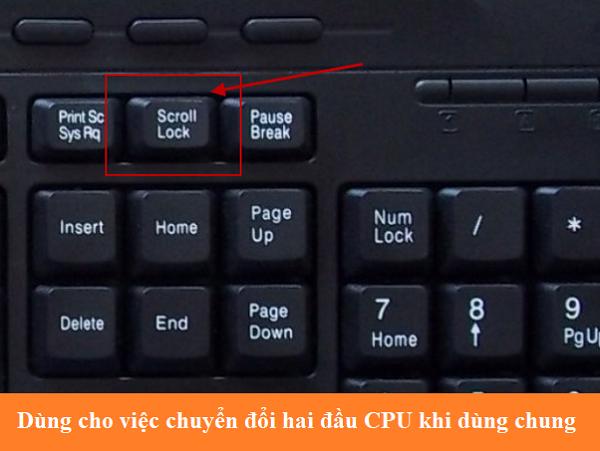 Dùng cho việc chuyển đổi giữa hai đầu CPU khi dùng chung