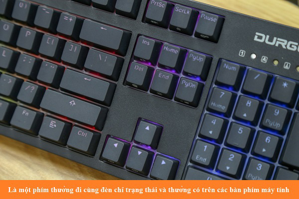 Là một phím thường đi cùng đèn chỉ trạng thái và thường có trên các bàn phím máy tính