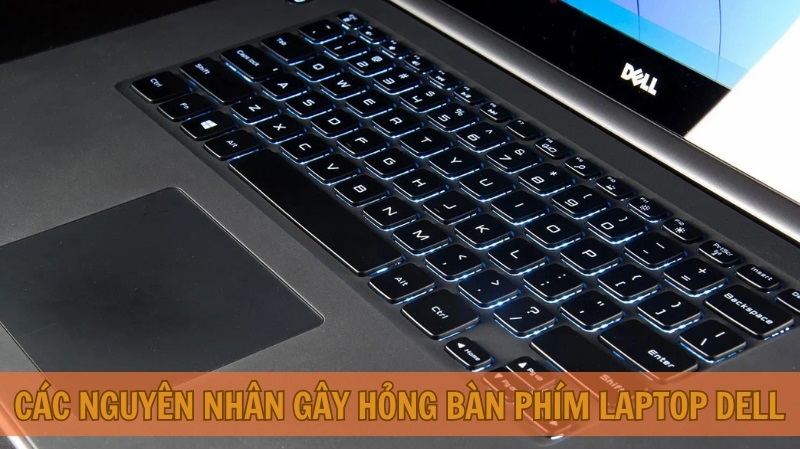 Nguyên nhân dẫn đến bàn phím laptop Dell bị hỏng Nguyên nhân dẫn đến bàn phím laptop Dell bị hỏng