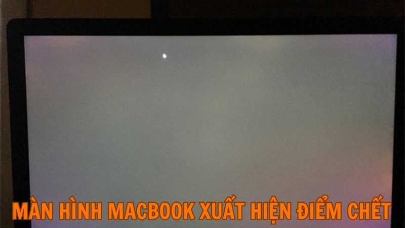 Màn hình xuất hiện điểm chết