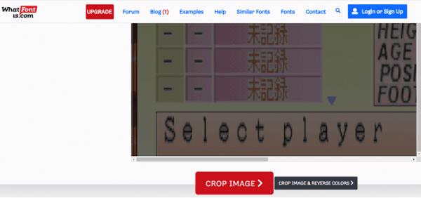 Nhấn tiếp Crop Image để tiến hành định dạng chữ
